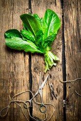 Similar image 15571510