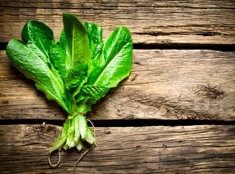 Similar image 15571523