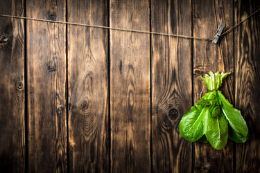 Similar image 15571537