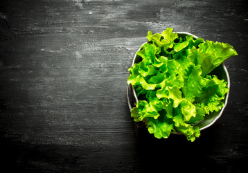 Similar image 15904286