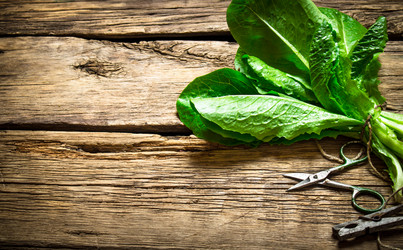 Similar image 15904626