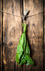 Similar image 15904566