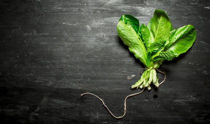 Similar image 15904557