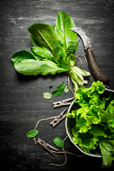 Similar image 15904504