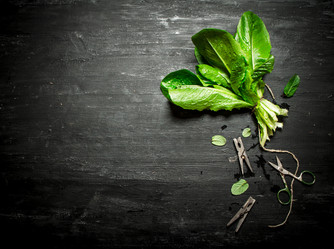 Similar image 15904480