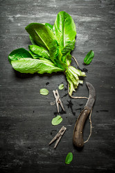 Similar image 15904406