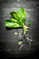 Similar image 15905267