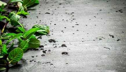 Similar image 15905299