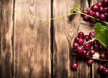 Similar image 15905394