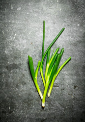 Similar image 15910027