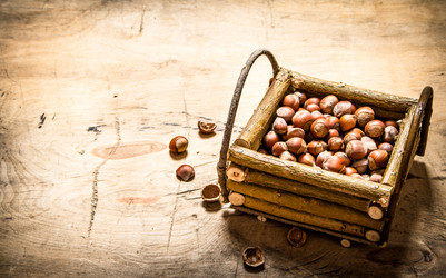 Similar image 15904648