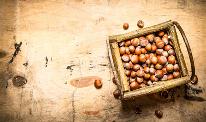 Similar image 15904622