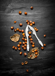 Similar image 15904588