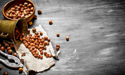 Similar image 15904408