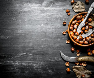 Similar image 15904441