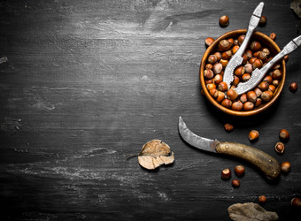 Similar image 15904742