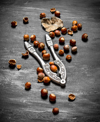 Similar image 15904827