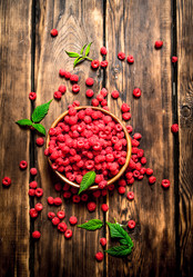 Similar image 15907497