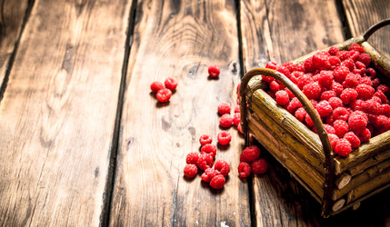 Similar image 15907517