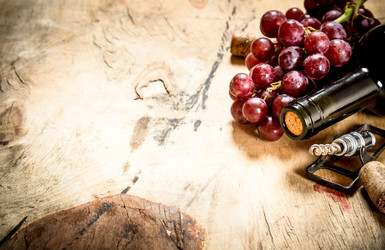 Similar image 15907291