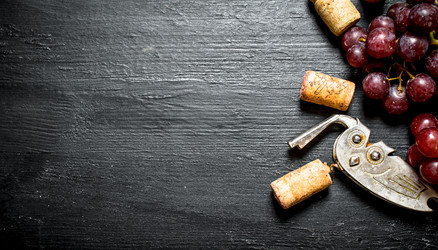 Similar image 15911290