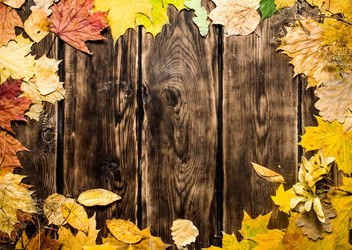 Similar image 15910952