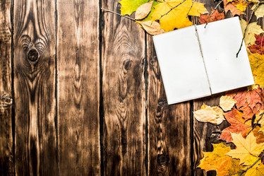 Similar image 15910984