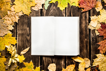 Similar image 15911087