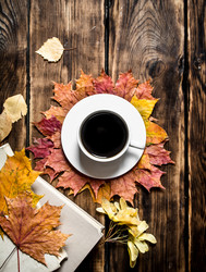 Similar image 15911685