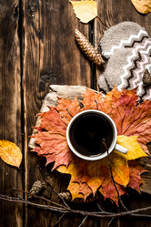 Similar image 15911832