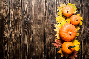 Similar image 15912013