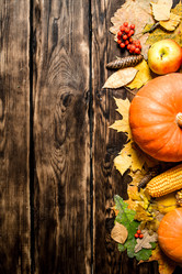 Similar image 15911446