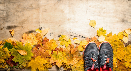 Similar image 15912192