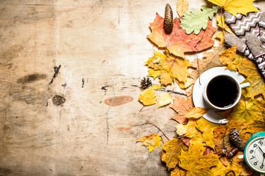 Similar image 15912305