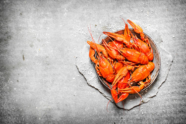 Similar image 15912472