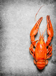 Similar image 15912732