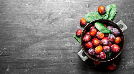 Similar image 15911329