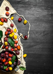 Similar image 15911406