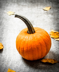 Similar image 15912453