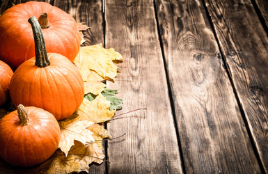 Similar image 15912647