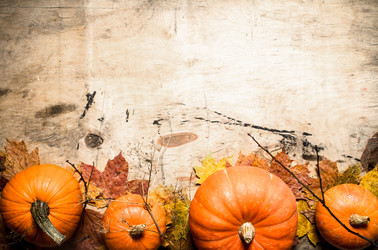 Similar image 15912733