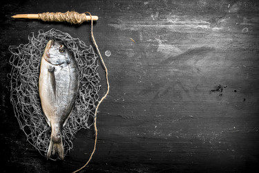 Similar image 15908351