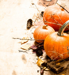 Similar image 15908652