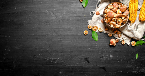 Similar image 15910649