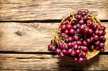 Similar image 15910277