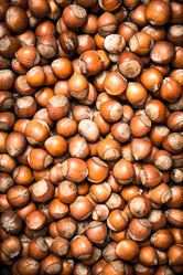 Similar image 15911532