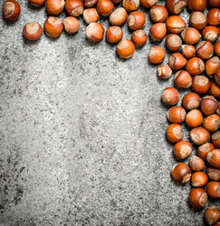 Similar image 15912419