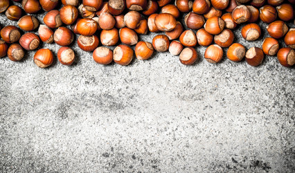 Similar image 15912477