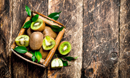 Similar image 15910616