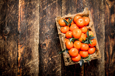 Similar image 15906705